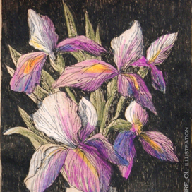 Ирисы