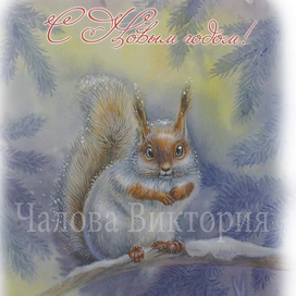 Белочка в снежинках