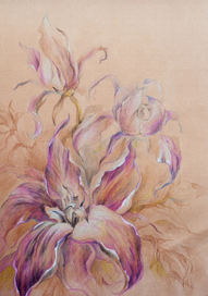 "Цветы Лилии"