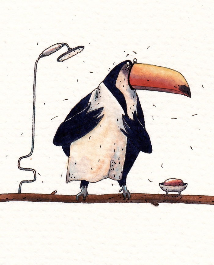 тук-тук Тукан