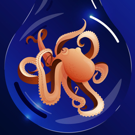 Осьминог
