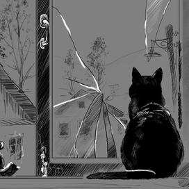 кот на окне