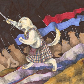 Шотландский кот идет вперед