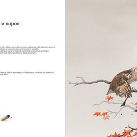 Иллюстрация к японской сказке "Сова и ворон"