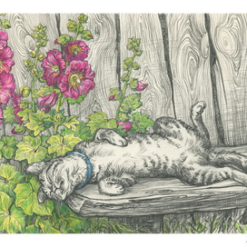 Моня ( Соломон отдыхает )