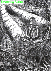 Иллюстраии к Королевству Адальир