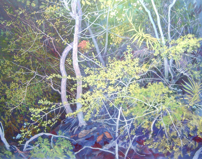 Натюрвив с синим камнем