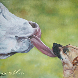 Знакомство