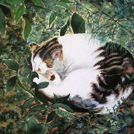 Тёплая шубка в летний зной