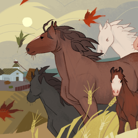 Осеннее поле