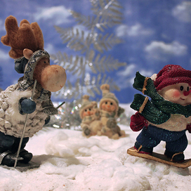 Лыжные гонки