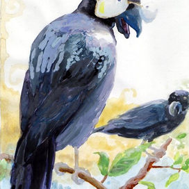 "ПТИЦЫ: вороны" иллюстрация