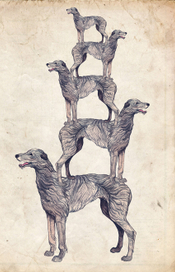 немного дирхаундов