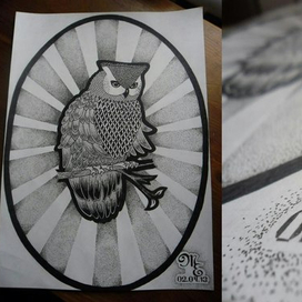 Точечная сова