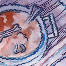 Клубочек шерсти