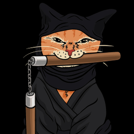 Кот-ниндзя с нунчаками