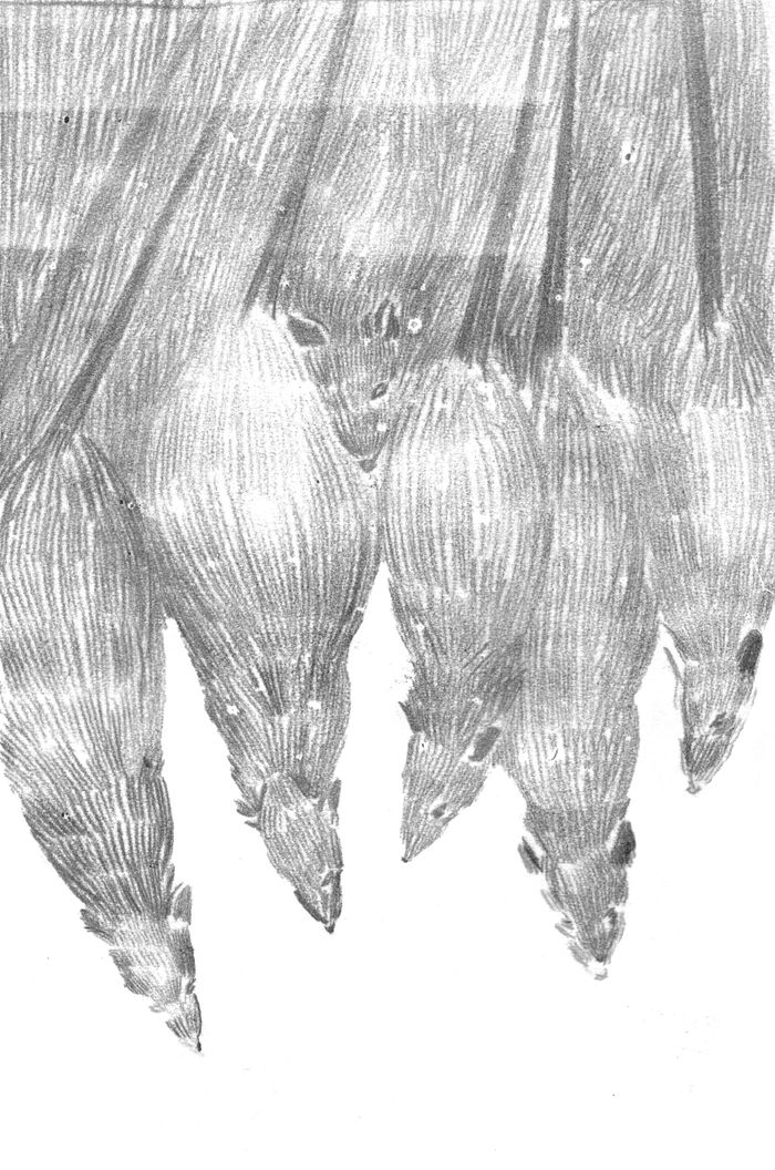 Эдгар По "Колодец и маятник"