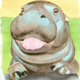 Hippo