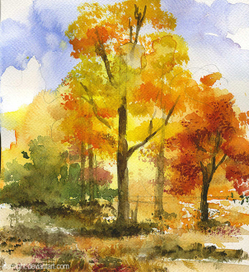 Бесконечная книга (стр. 37)