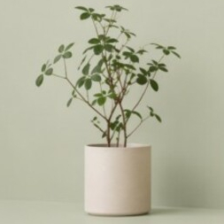 Как оформить покупку ИКЕА через интернет