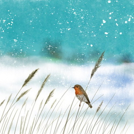 Птицы зимой