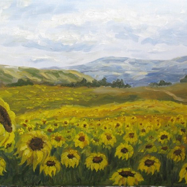 Золотое поле 65-45,5