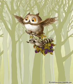 Сова и енот