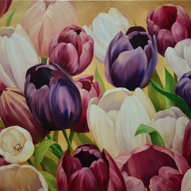 Тюльпаны