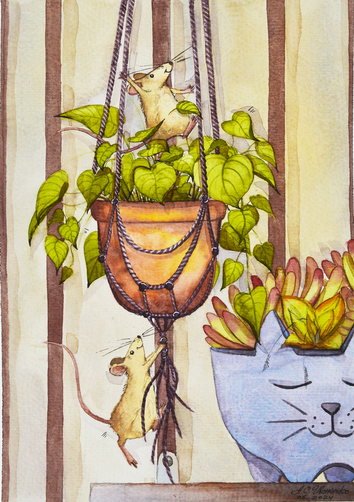 Покорение вершин. Мышата