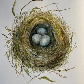 Яичные истории