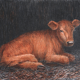 "Рыжий теленок" литография