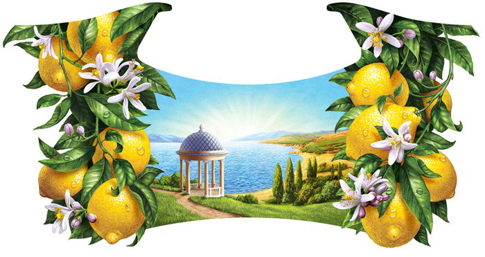 Иллюстрация для лимонада ТМ "Напитки из Черноголовки".