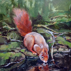 Белка-огнёвка