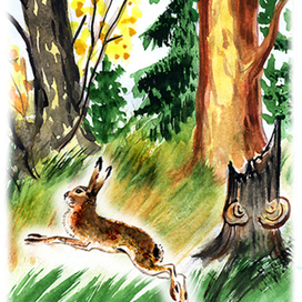 Заяц в лесу