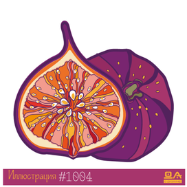 Иллюстрация инжир ДА#1004