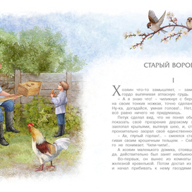 Старый воробей