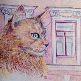 Коты Петербурга