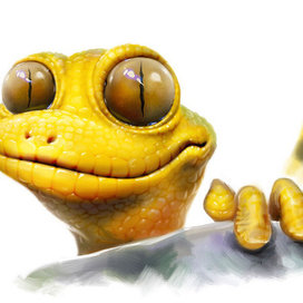 Когда гекконы очень хитры...