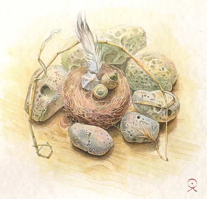 старые гнёзда