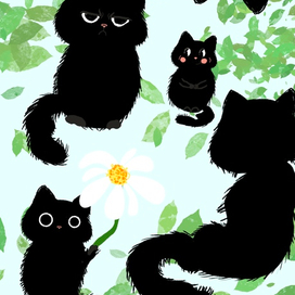 Котики
