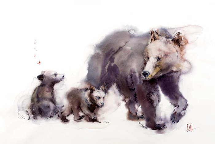 Медведи с бабочками