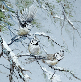 Гренадерки 