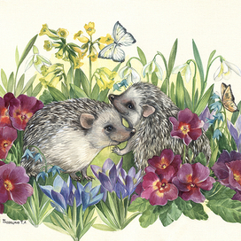 Ежики в примулах и крокусах