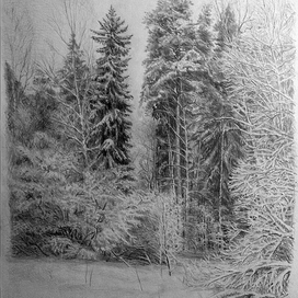 Просека после снегопада.