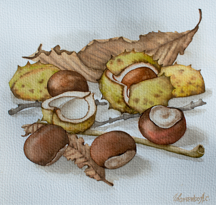 Акварель Каштаны