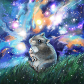 The Space hamster