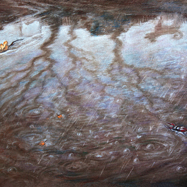 Иллюстрация с стихотворению Льва Квитко "Жучок"