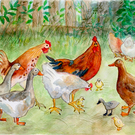 Гадкий утенок