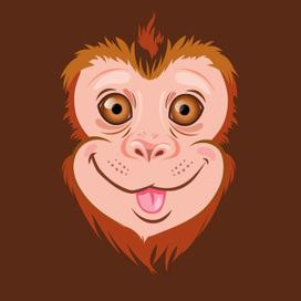 Сафари. Обезьяна.