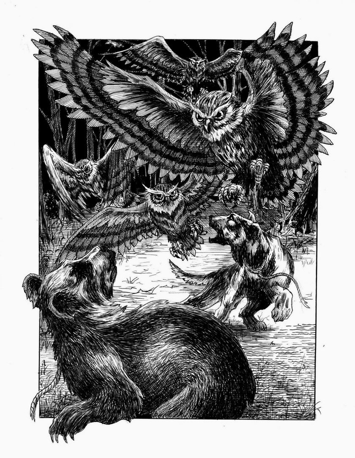 Нападение сов